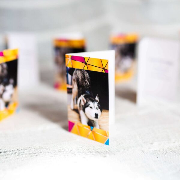 Folded business cards, business card printing from abc service based in tavistock, devon and covering the uk