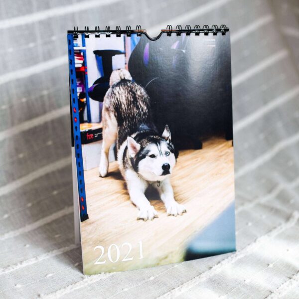 A4 calendars printed by abc service based in tavistock, devon covering uk, england