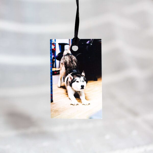 Gift tags printing service in the uk, gift tags printed by abc service based in tavistock, devon and covering the uk, quality gift tags printed on carbon captured media.